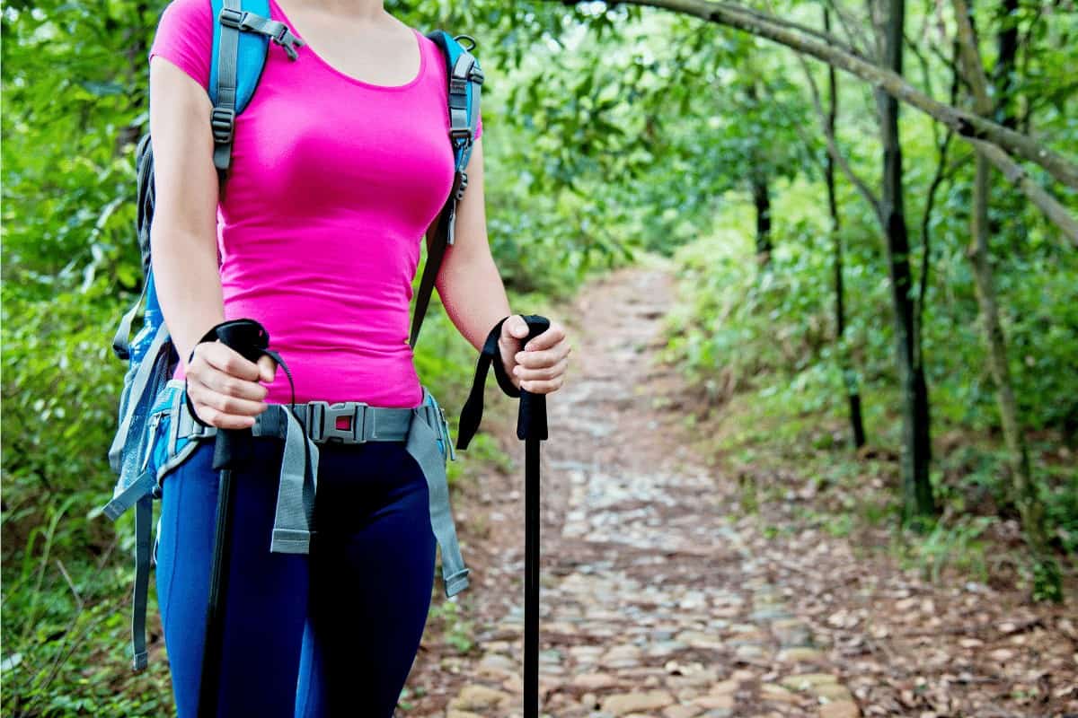 Hiking Staff vs Trekking Pole (Which Is Best)
