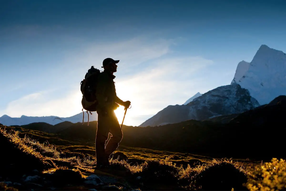 Pros and Cons of Hiking with Trekking/Hiking Poles