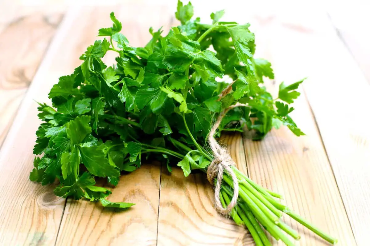 How Long Does It Take to Grow Parsley from Seed?