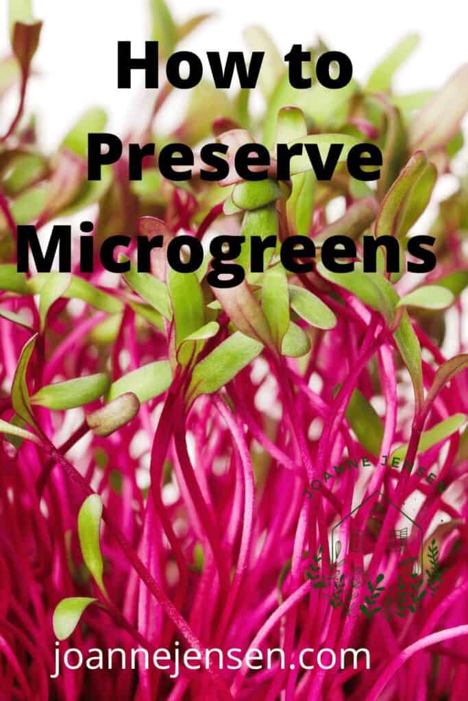 Can you freeze Microgreens 1