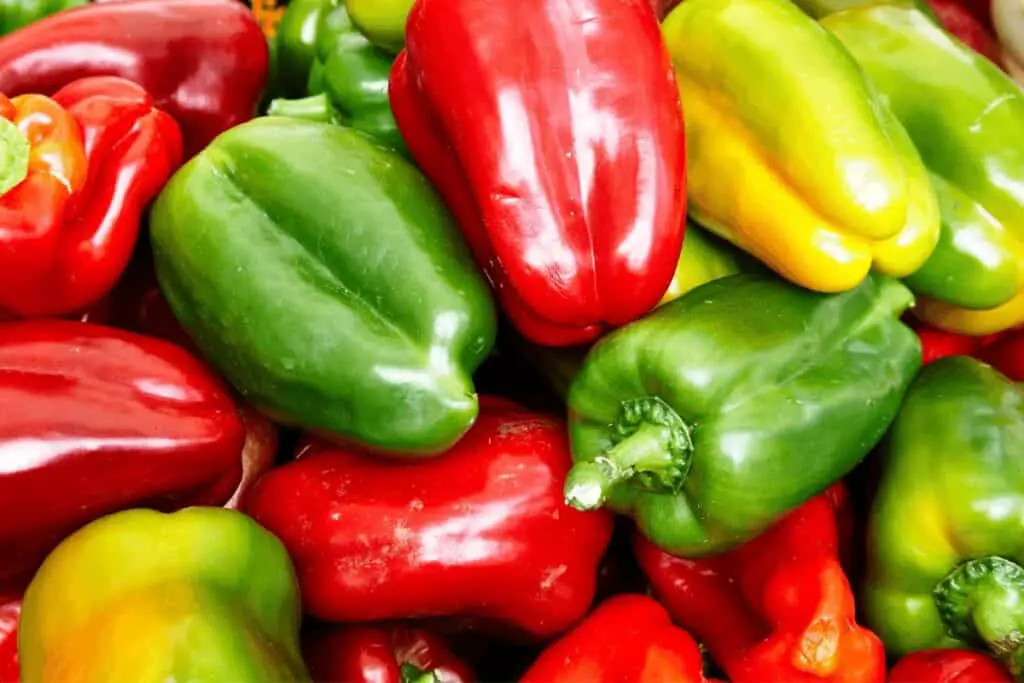 Colourful Peppers