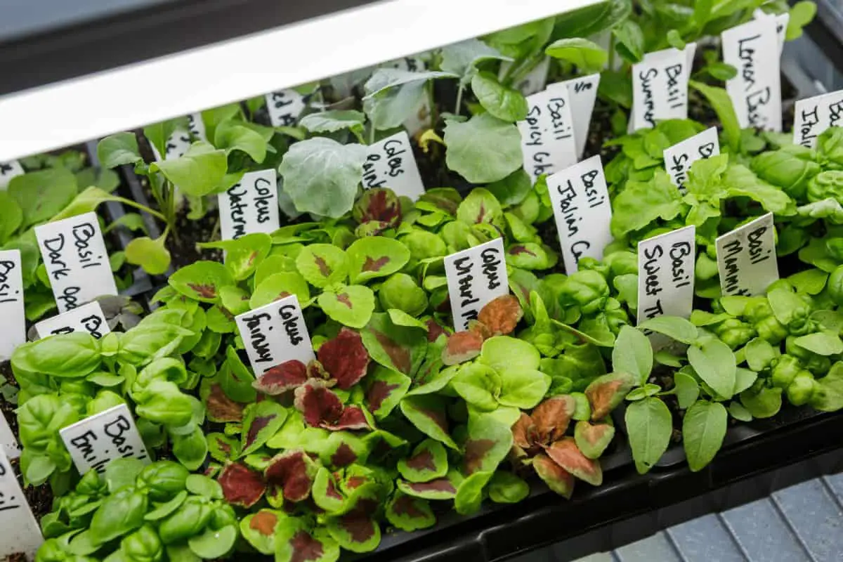 23+ Brilliant Indoor Herb Garden Ideas