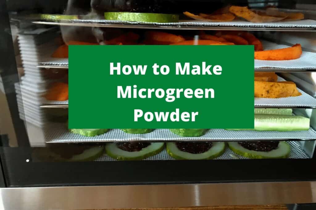 How to Make Microgreen Powder