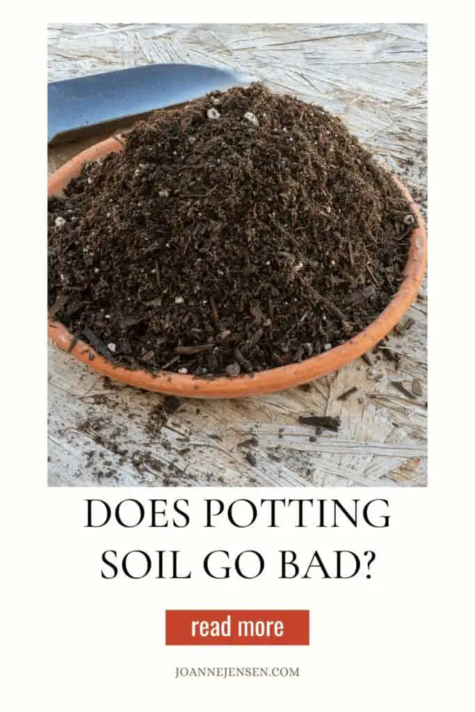 Does Potting Soil Go Bad