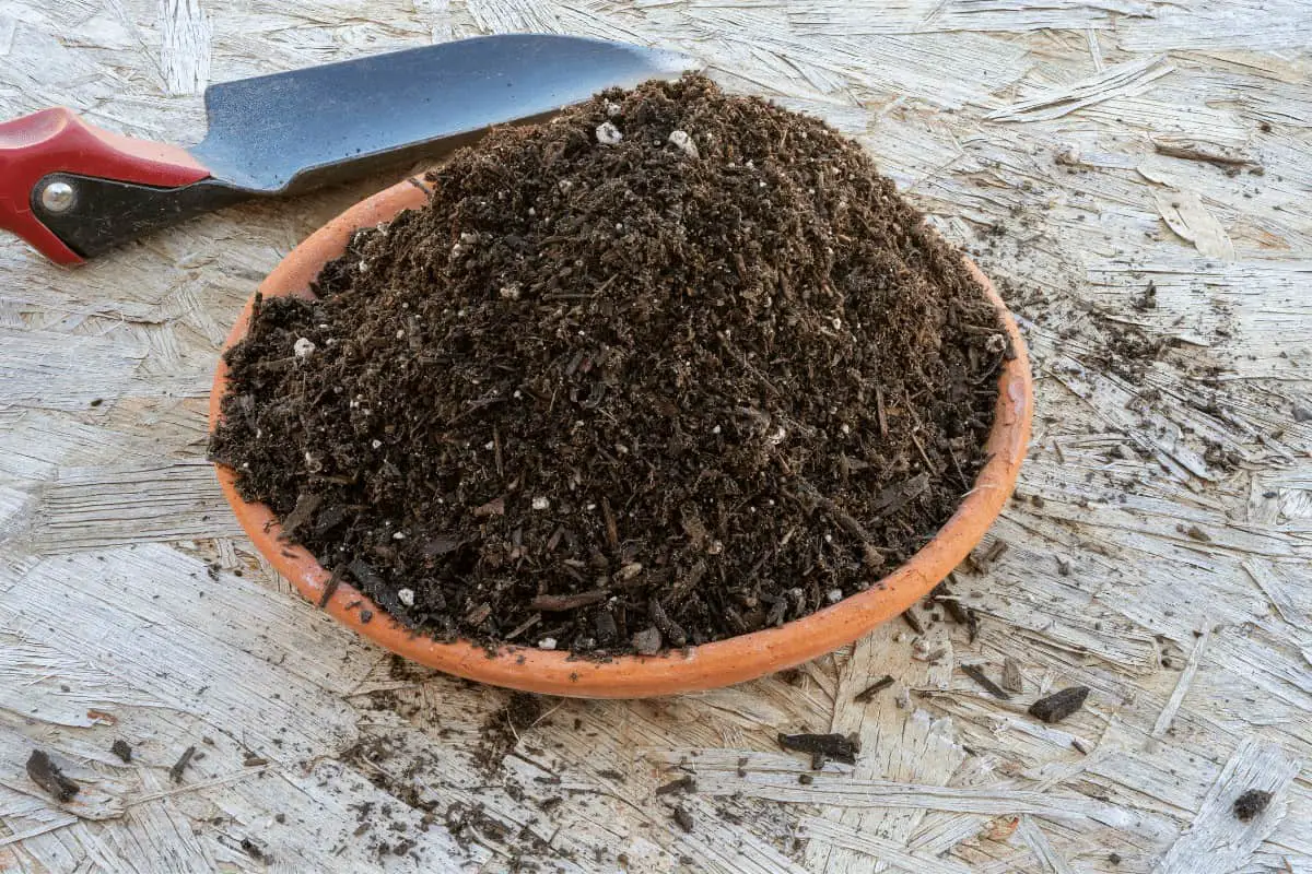 Does Potting Soil Go Bad? Quick Answer