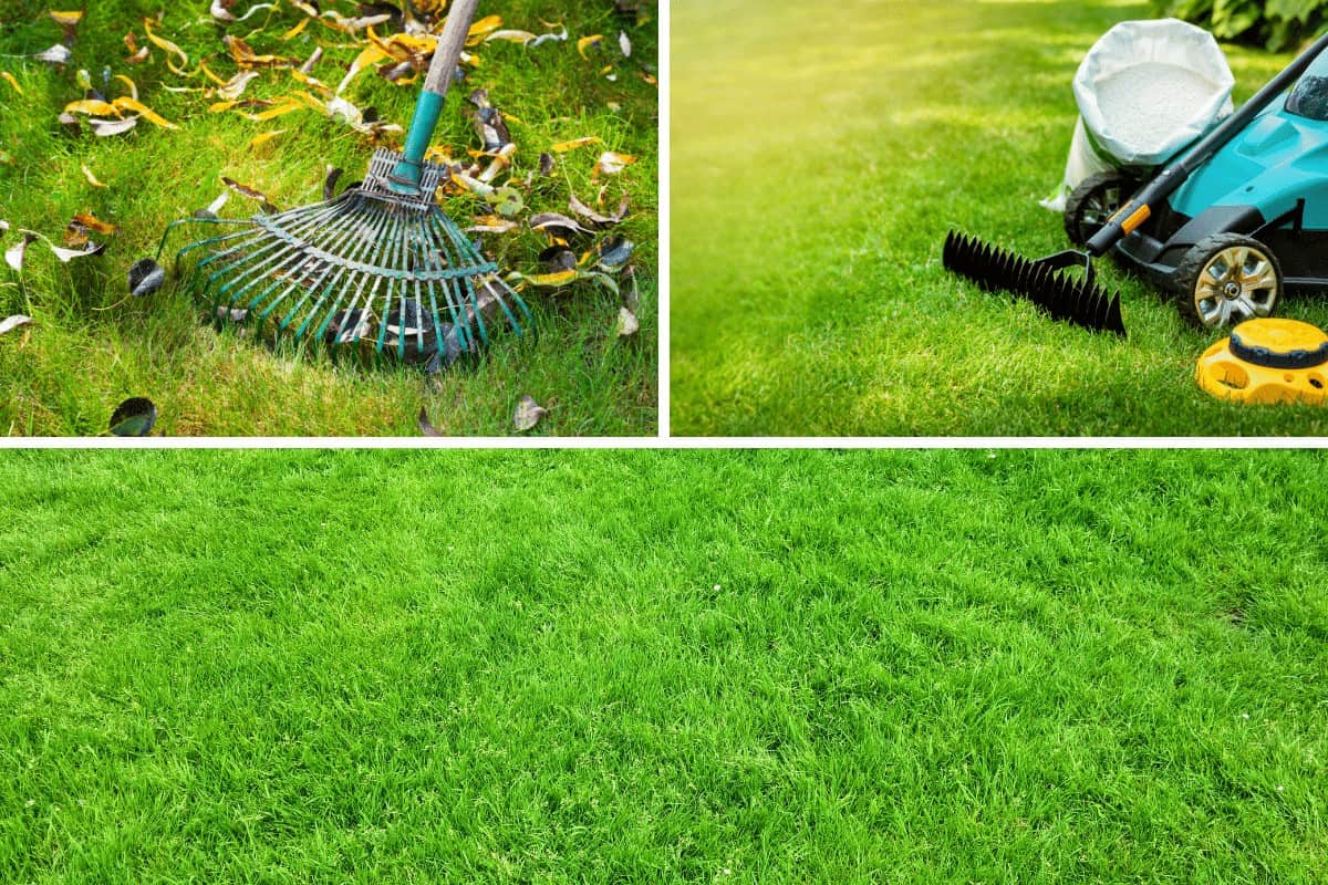 When Should You Rake Your Grass in The Spring?