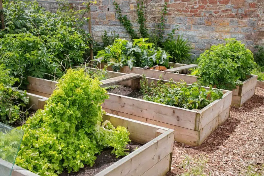 How Easy Is It to Build Your Own Garden Bed