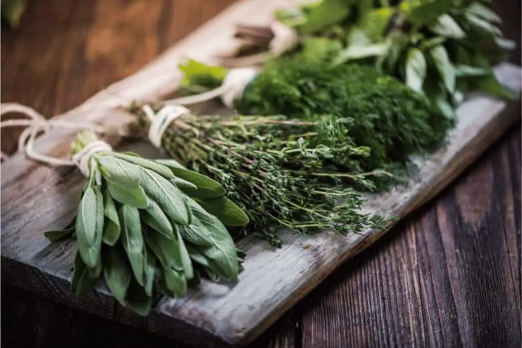 13 Fresh Herbs: How to Use Them in Cooking