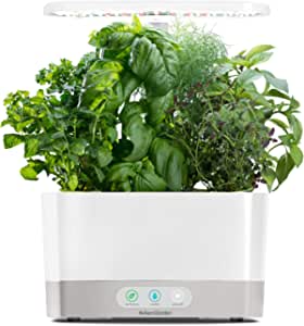 A Guide to Cleaning Your Aerogarden: Simple and Effective