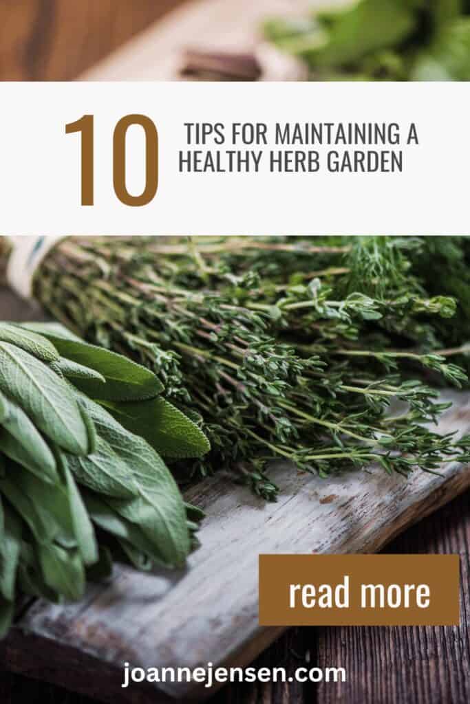 10 tips for maintaining a healthy herb Garden
