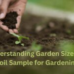 Understanding Garden Size and Soil Sample for Gardening