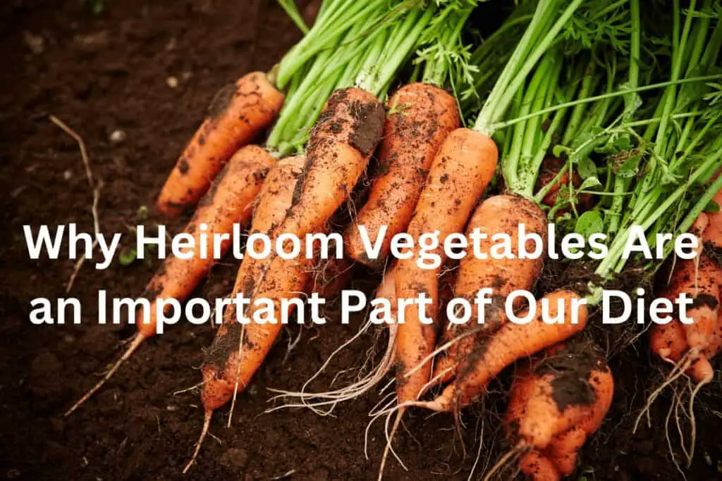 Why Heirloom Vegetables are an Important Part of Our Diet