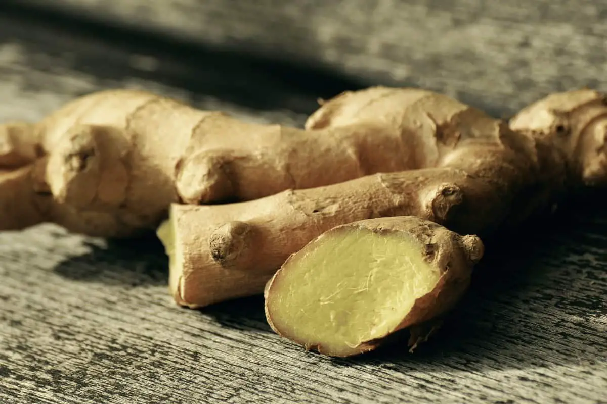 Can You Compost Ginger? The Surprising Benefits