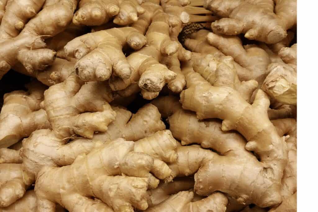 Lots of Ginger