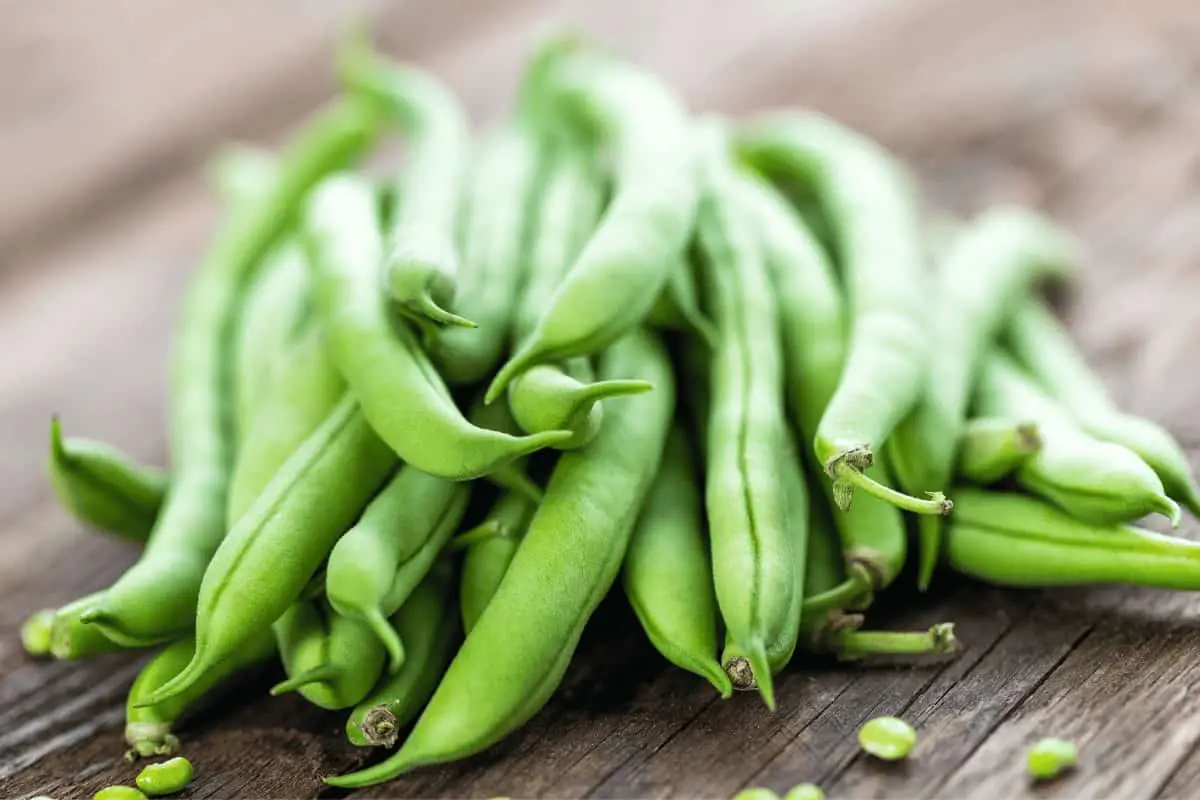 Planting, Growing, and Harvesting Green Beans