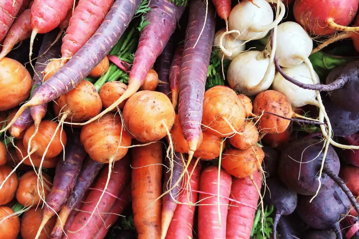 The Best Root Vegetables to Grow (7 Tips)