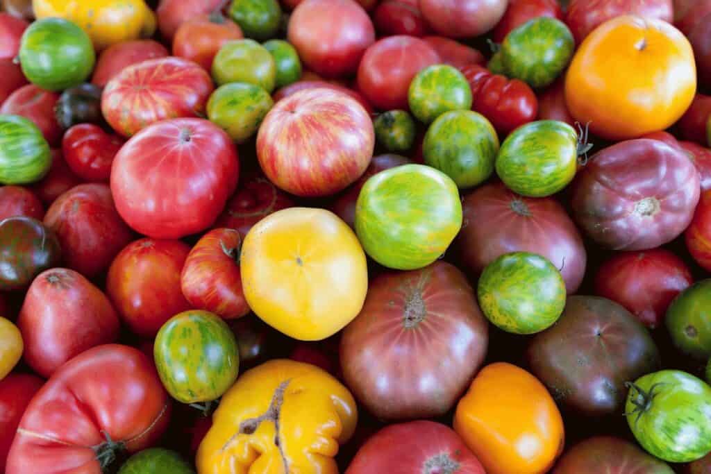What are Heirloom Tomatoes