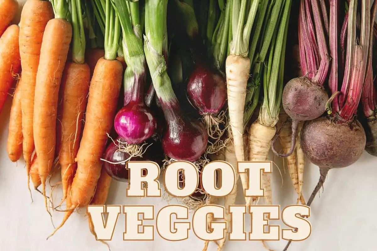 15 Best Root Garden Vegetables to Successfully Grow