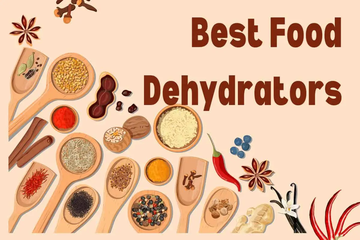 How to Choose the Best Food Dehydrator [Buyer’s Guide]