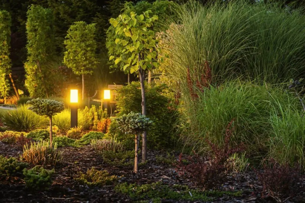 Why Install Garden Lights? The Benefits of Garden Lighting