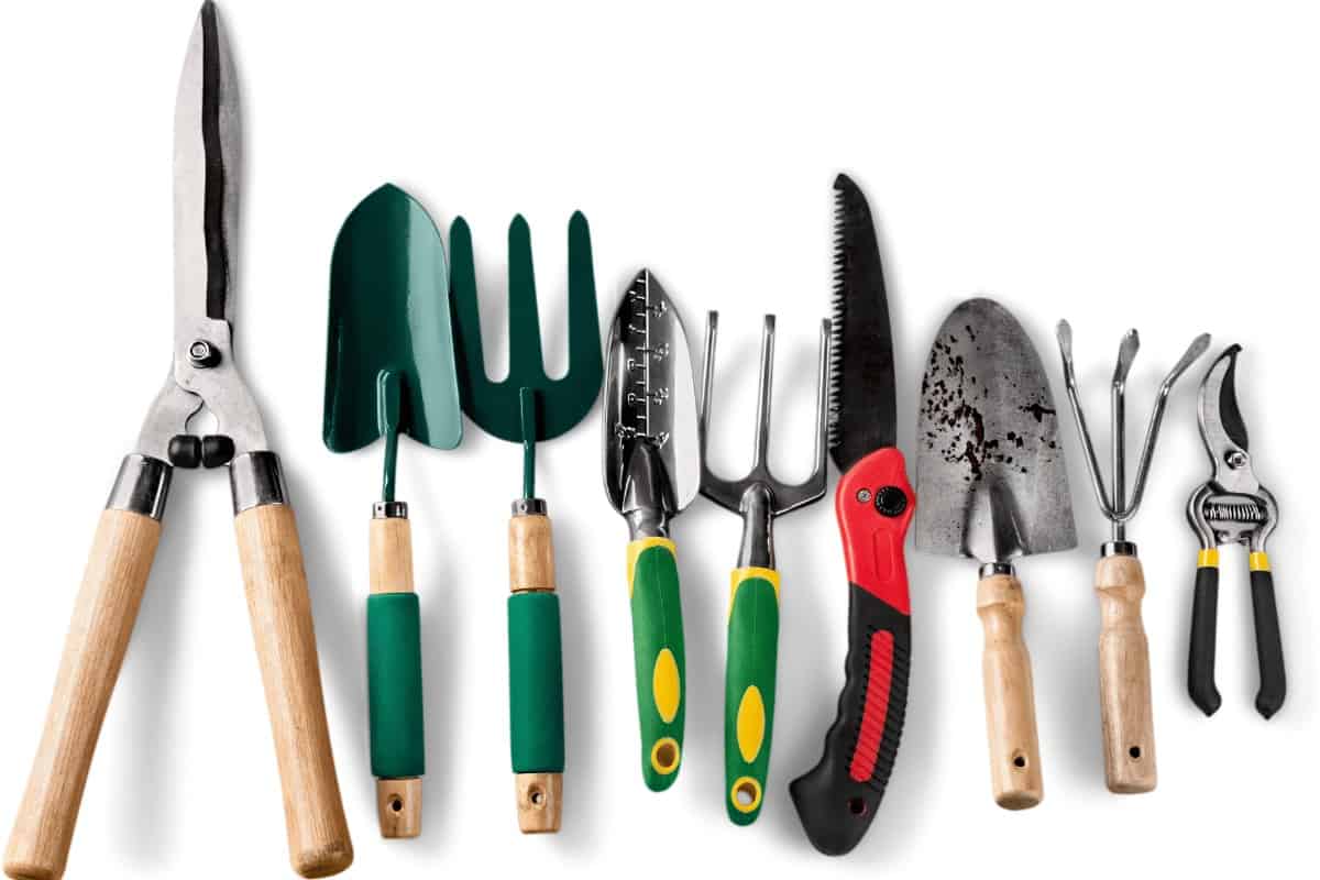 The Best Gardening Tools for 2024 (Great Gift Ideas)