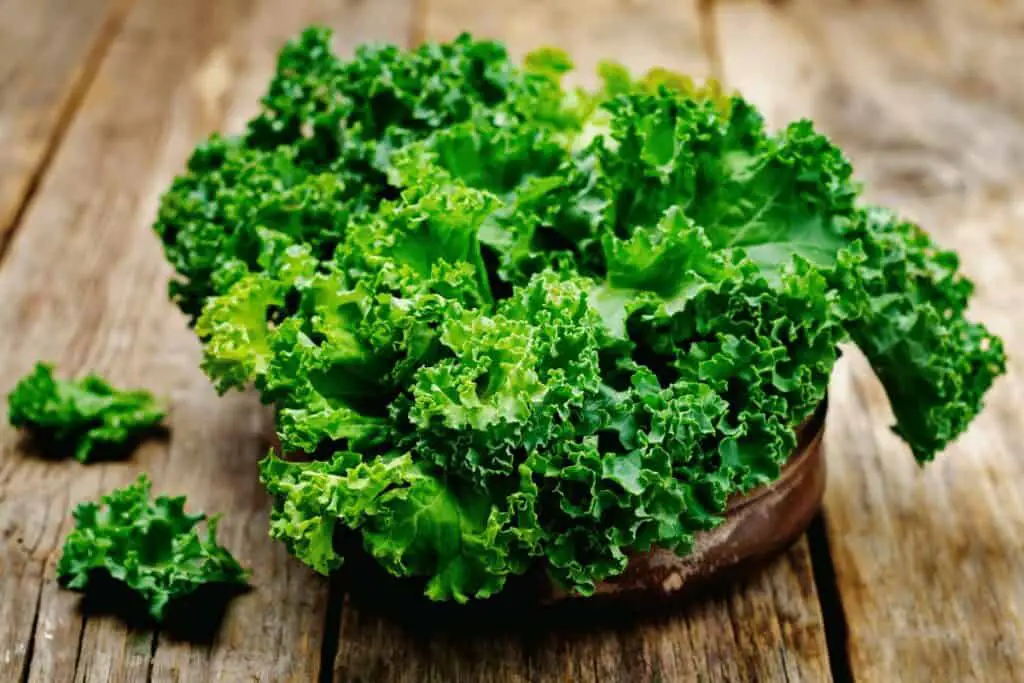 Is Siberian Kale the Same as Russian Kale?