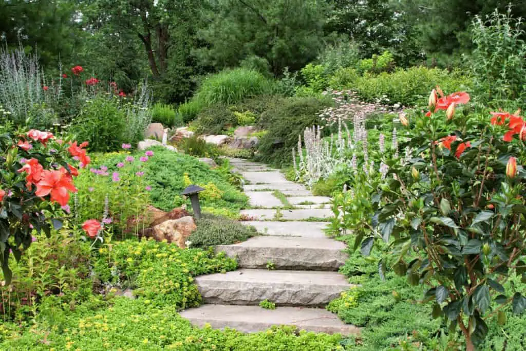 The Ultimate Guide to Building a Garden Path