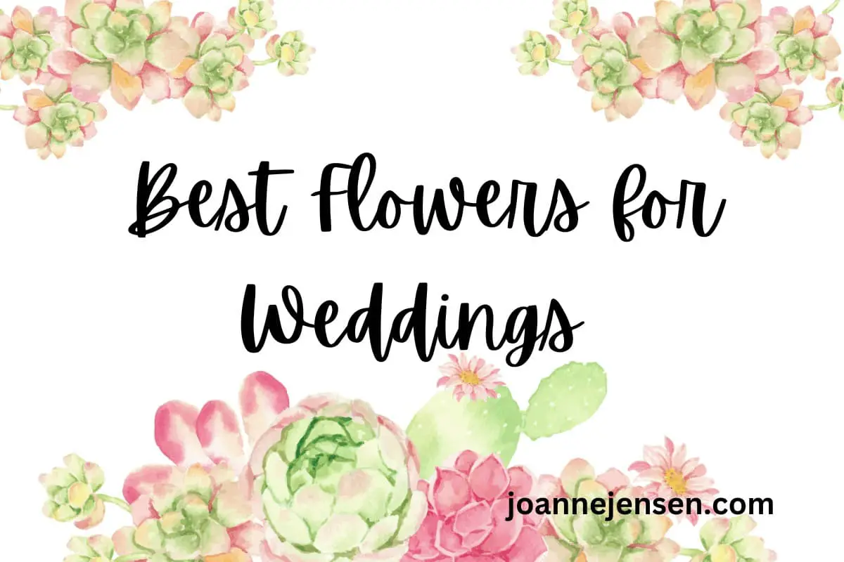 Best Flowers For Weddings