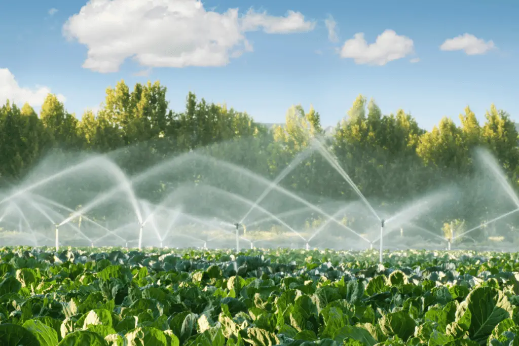 Irrigation Systems: Tips and Tricks
