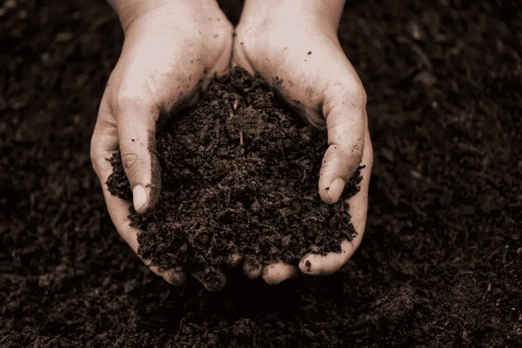 Composting 101: Tips and Tricks