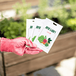 Time-Saving Tips for Vegetable Gardeners