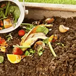 How to Make Your Own Compost