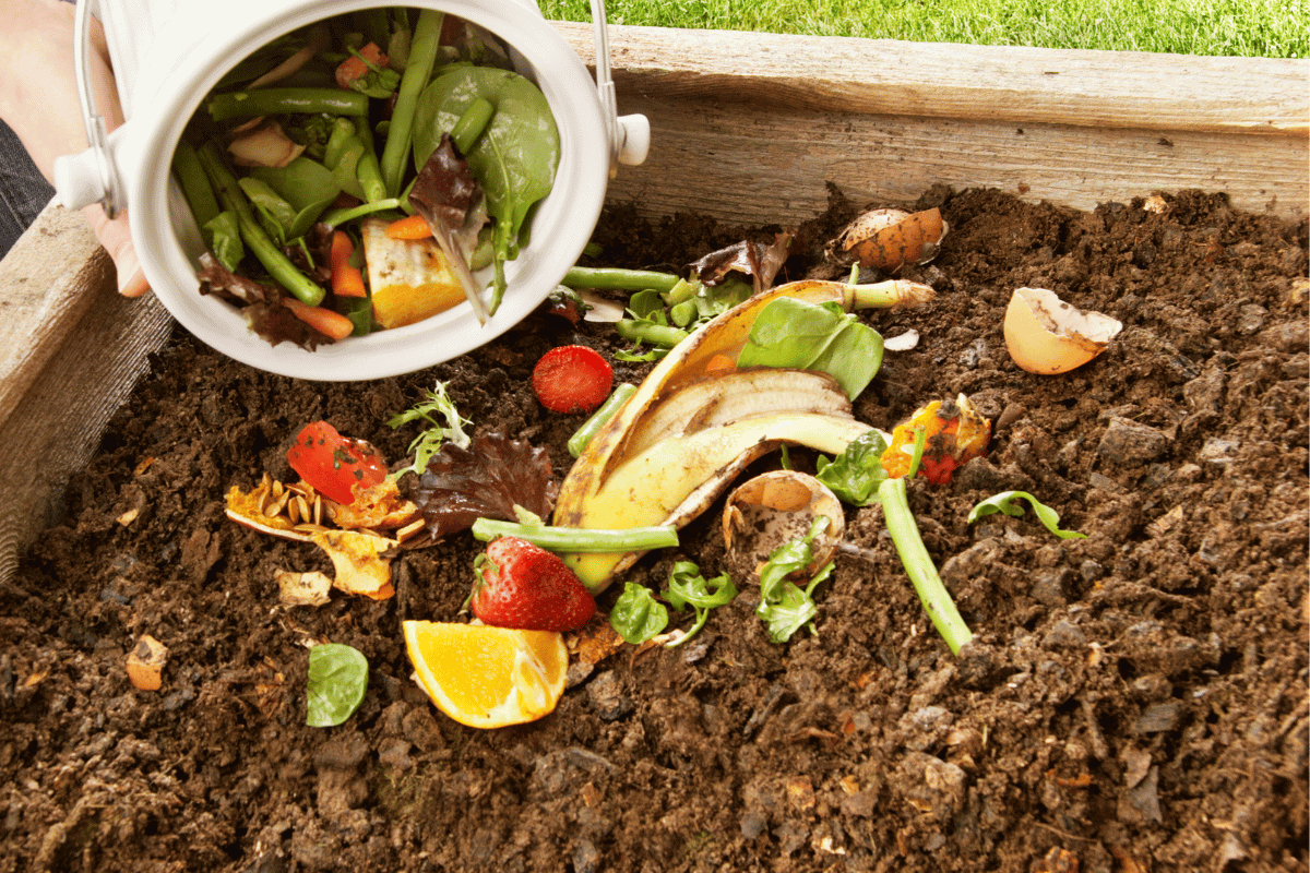 How to Make Your Own  Compost