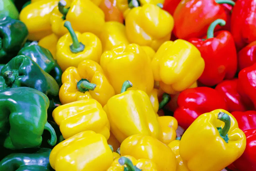 How to Grow Peppers in Your Vegetable Garden