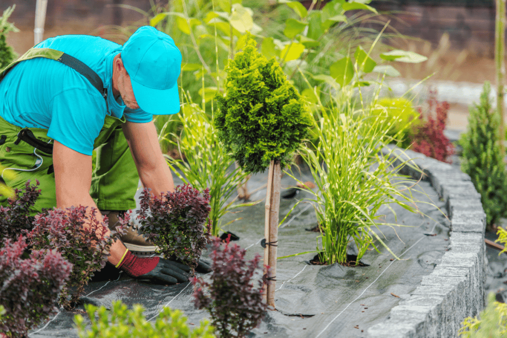 How to Design a Low-Maintenance Garden