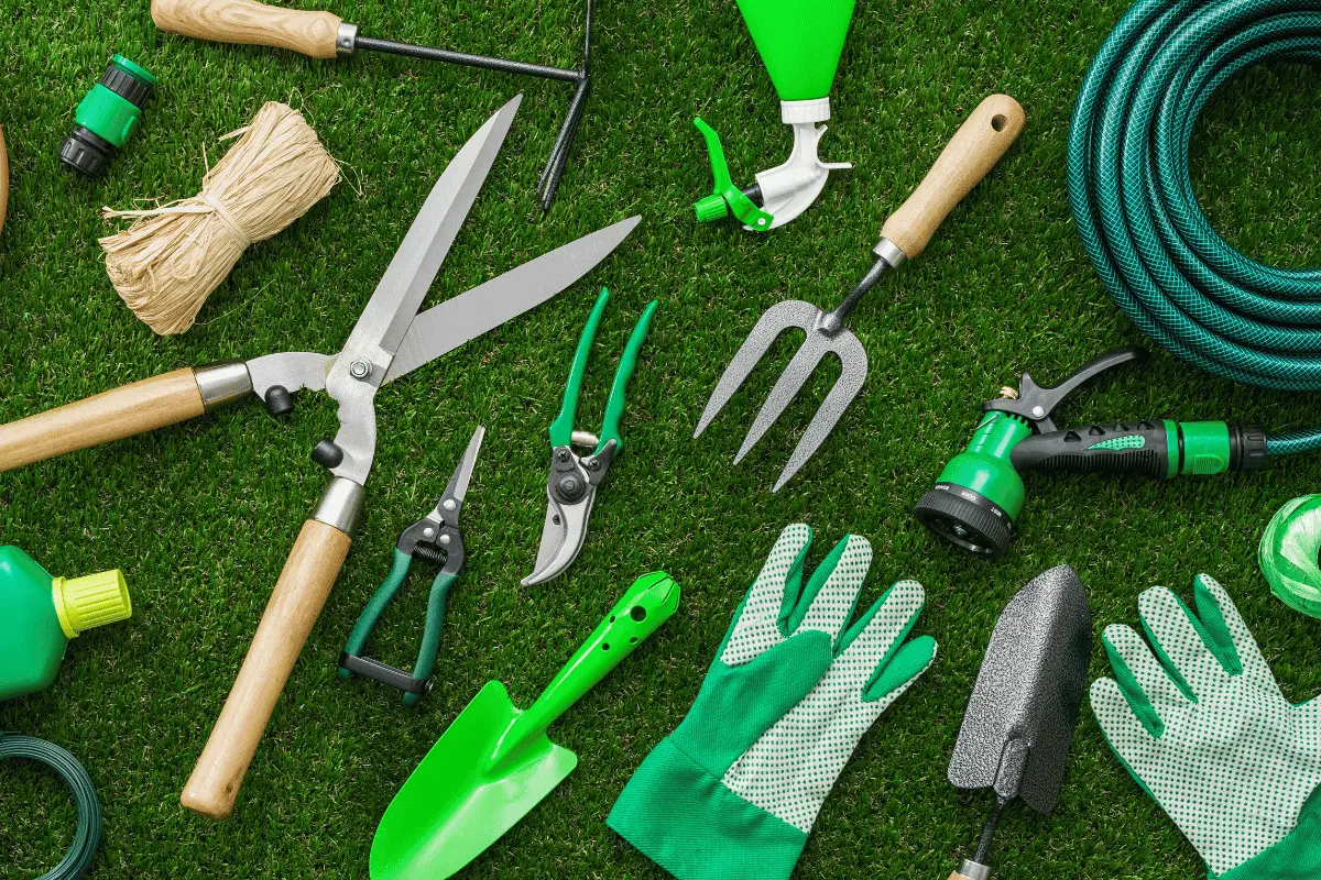 Essential Garden Tools: A Complete Guide