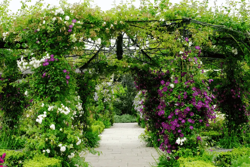 Top 5 DIY Garden Trellises