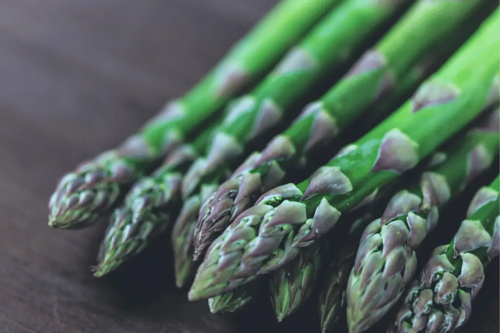 How to Grow Asparagus 