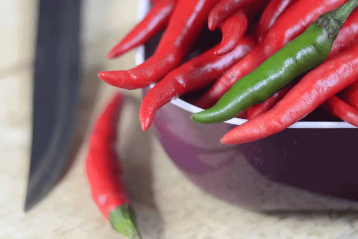 How to Plant Chili Pepper Seeds for Maximum Germination