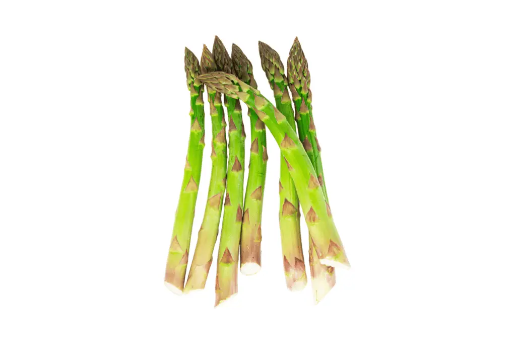 Growing Asparagus from Cuttings