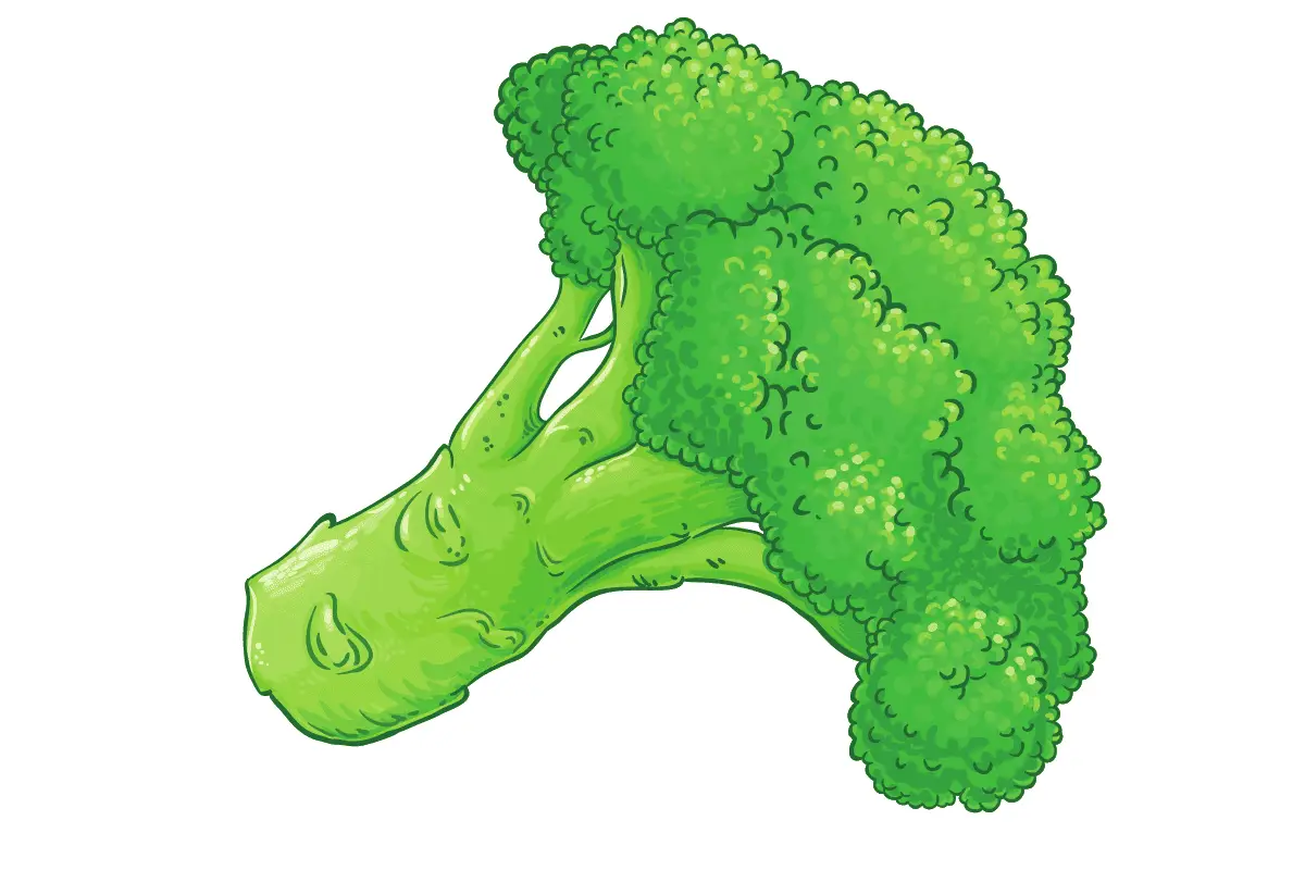 Broccoli: A Green Powerhouse of Health