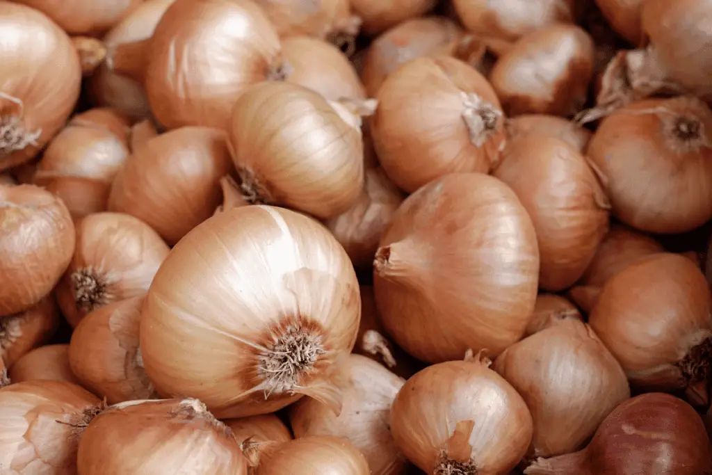 How to Plant Onion Seeds