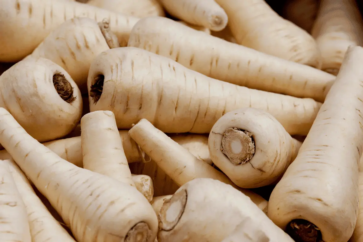 How to Plant Parsnip Seeds
