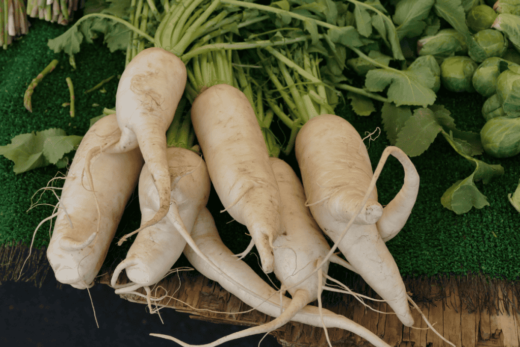 How to Plant Parsnip Seeds
